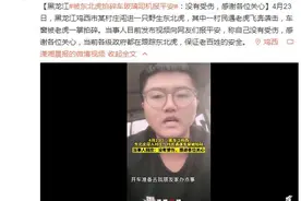 被东北虎拍碎车玻璃司机报平安：没有受伤，感谢各位关心图片