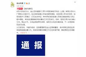 痛心！浙江籍消防员在上海金山火灾救援中牺牲图片