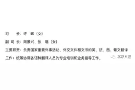 “首席翻译”张璐履新！曾多次亮相总理记者会，称这点不是强项图片