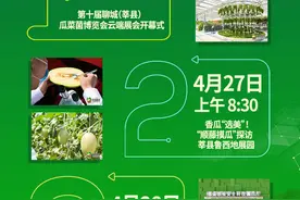 官宣！第十届山东聊城（莘县）瓜菜菌博览会云端展会直播观看手册图片