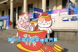 第十三届北京茶博会开幕视频封面