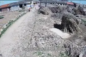 你跑！你再跑！山东警察把小偷追吐了，还贴心帮他拍拍背图片