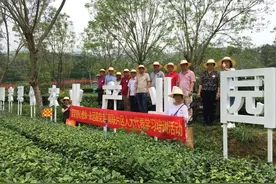 三水南联村党委：用“党建红”，带动“产业兴”图片