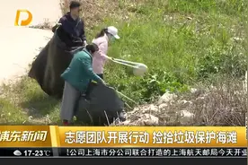 志愿团队开展行动 捡拾垃圾保护海滩视频封面