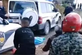 痛心！8岁小学生上学途中被狗咬死，父母在外打工，平时由爷爷看管图片