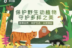保护野生动植物 守护多样之美图片