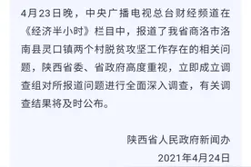 陕西洛南回应“脱贫摘帽掺假”，称将全面调查图片