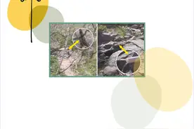 有话大声说丨自来水的“秘密”图片
