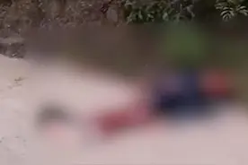 重庆奉节一小学生上学途中被三条恶犬咬死 事件在后续处置中图片
