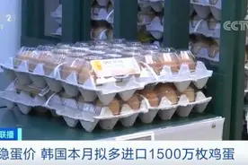 不“蛋定”了？韩国宣布：追加进口1500万枚鸡蛋，以稳定市场供应图片