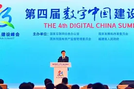 拼多多董事长陈磊：“重投”数字农业的基础设施，补齐短板图片