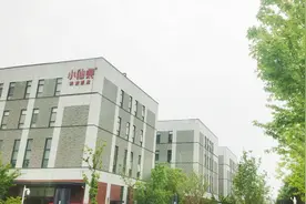 小仙炖加速全国布局，在上海投资建厂图片
