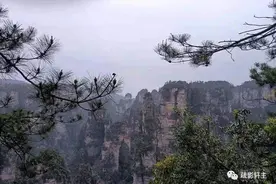 张家的界图片