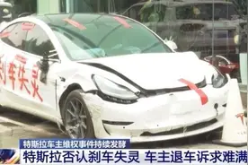 特斯拉维权女车主父亲：我86年领的驾照，连刹车都不会？图片