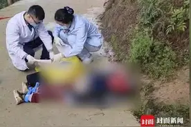 重庆奉节一小学生上学途中被三条恶犬咬死后续：双方已达成和解图片
