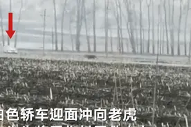 人为什么要善良？这是我听过最好的回答图片