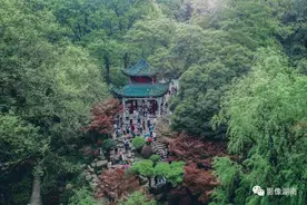 岳麓山，像时间一样古老，又像春天一样年轻图片
