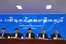 进村大老虎命名为“完达山1号”！它近况如何？图片