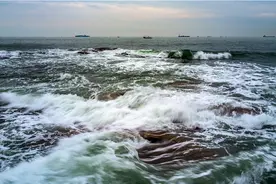 青岛：春来鲅鱼鲜图片