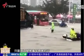 粤西“疯狂倒水” 湛江廉江出现大面积水浸视频封面