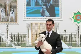 土库曼斯坦为国宝犬种设立节日图片