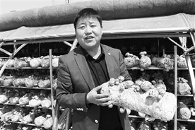 贺建强：枣木上种菌菇，环保致富两不误图片