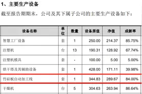 双枪科技固定资产变动与产能不符，多项数据存疑图片