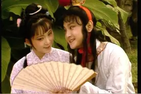 宝晴之情的隐性表述图片