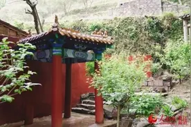 大写的佩服！90后女孩家中建了座“故宫亭”图片