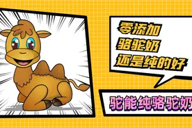 有货 | 号称“沙漠白金”的骆驼奶，几十元和上千元的差别在哪里？图片