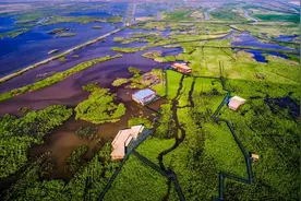 上海跨界地区协同规划探索图片