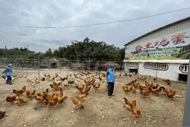 汕尾村民当粤菜师傅，走出一条美食致富路图片