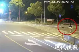 30斤重宠物狗坠河踩上女主人的头，差点把主人淹死图片