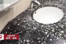 火了！贵阳机场厕所洗手池布满化石：系3亿年前的鸮头贝化石图片