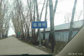 还原现场！东北虎拍碎玻璃差点进屋，“人虎只隔一扇窗”图片