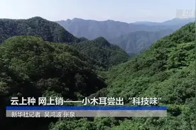云上种 网上销——小木耳尝出“科技味”视频封面