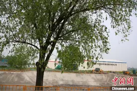 武汉汉江湾：“土医生”为化工土壤“排毒”图片