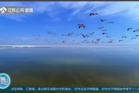 移动云技术赋能，江苏携手青海为三江源筑起生态安全屏障视频封面
