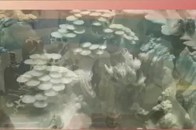 南阳第十七届玉雕文化节盛大开幕图片