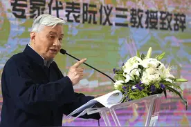 阮仪三：好的城市更新，要保护历史，留住乡愁图片