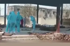 火葬场严重短缺，印度德里计划将一狗用火葬场改为人用图片
