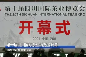第十届四川国际茶业博览会开幕视频封面