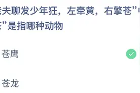 老夫聊发少年狂蚂蚁庄园今日4.30今天最新答案：右擎苍中苍是指哪种动物？图片