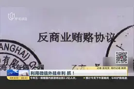 利用微信外挂牟利  抓！视频封面