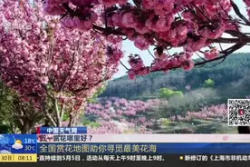 五一赏花哪里好？  全国赏花地图助你寻觅最美花海视频封面