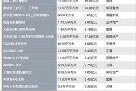 集中供地丨沈阳首次集中供地成交22宗地块，总价197亿元图片