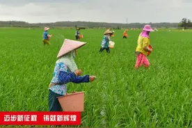 海口市琼山区委书记陈昊旻：耕耘时代热土 谱写海岛新篇图片