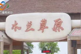 木兰草原游玩攻略：不用出湖北就能体验草原风光图片