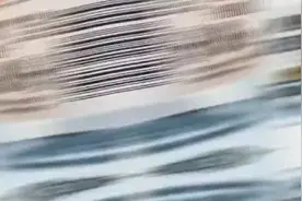 全球连线丨中欧地理标志协定系列——卡拉马塔黑橄榄图片