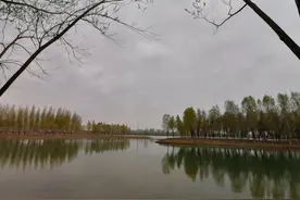 且行且吟｜种下几棵树，记住不一样的春天图片